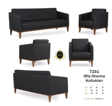 Rahat oturum alanı sunan estetik 7231 Ofis Kanepeleri.